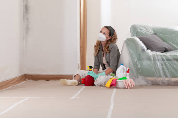 Reliable Commercial Mold Remediation contractor in Saugus, MA by WQB Mold Removal